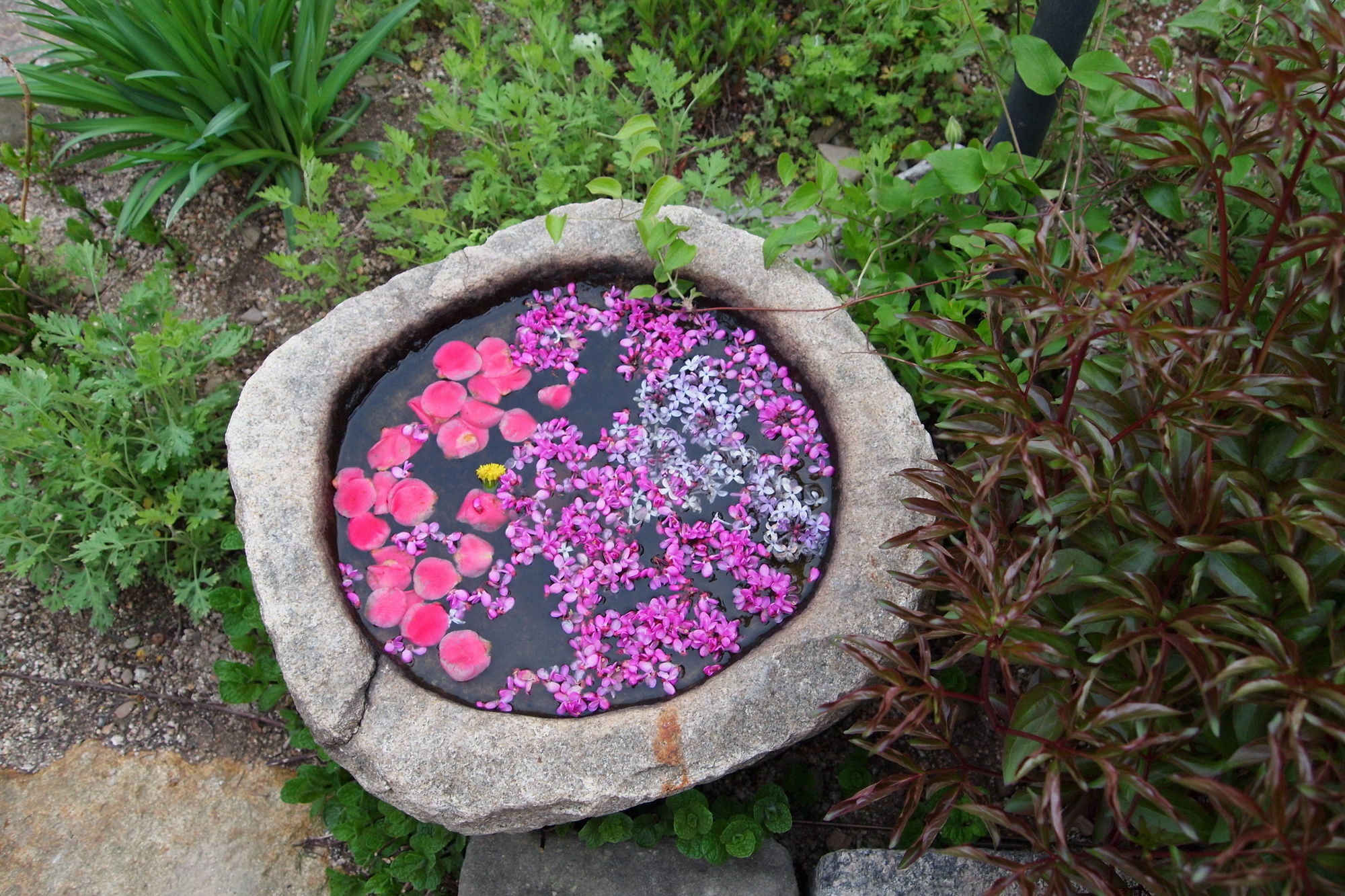 Floral Space Hanok Guesthouse Gyeongju Ngoại thất bức ảnh