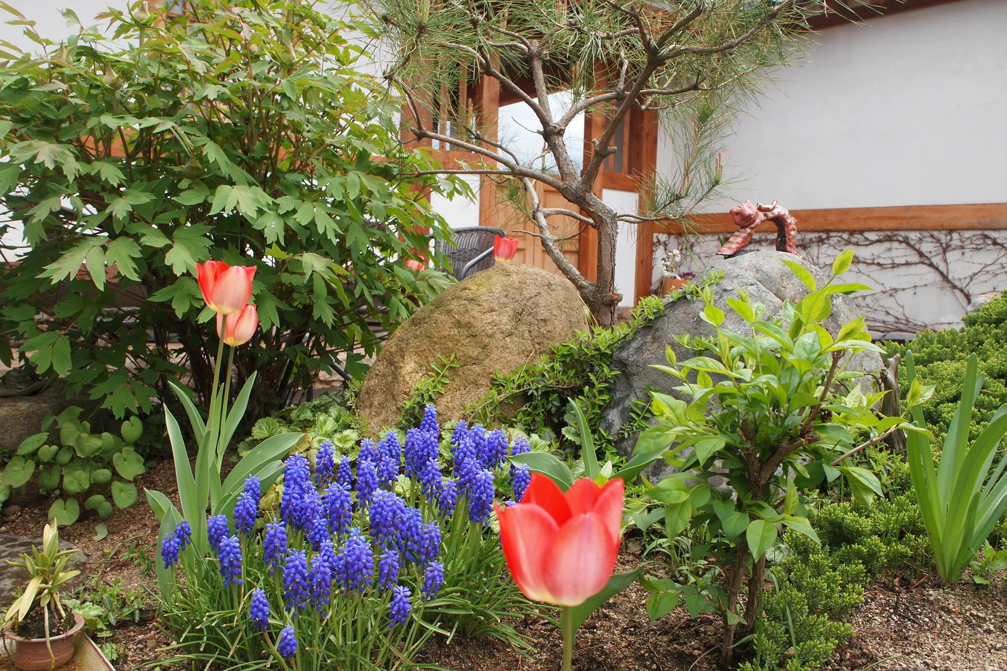 Floral Space Hanok Guesthouse Gyeongju Ngoại thất bức ảnh