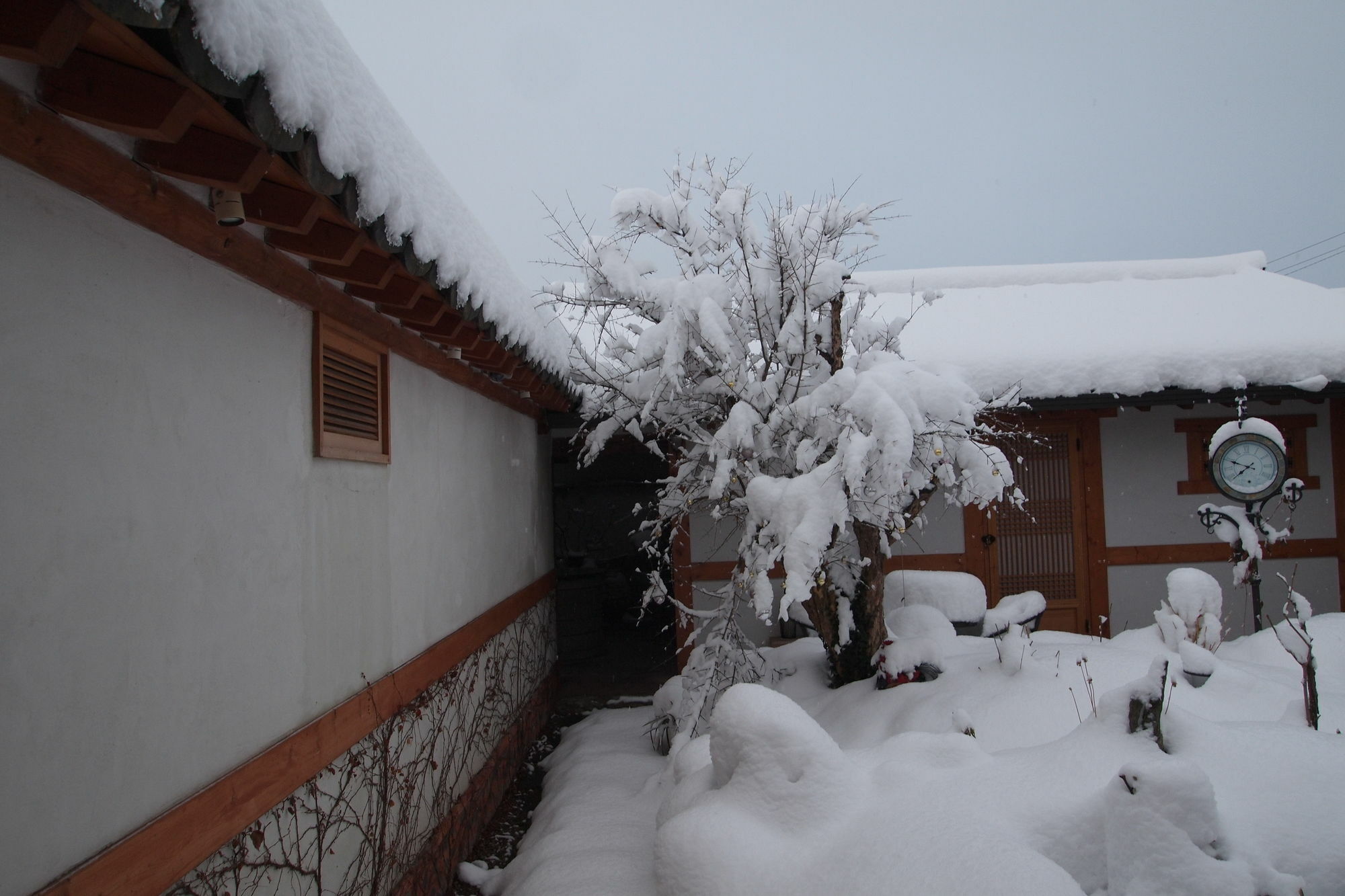Floral Space Hanok Guesthouse Gyeongju Ngoại thất bức ảnh