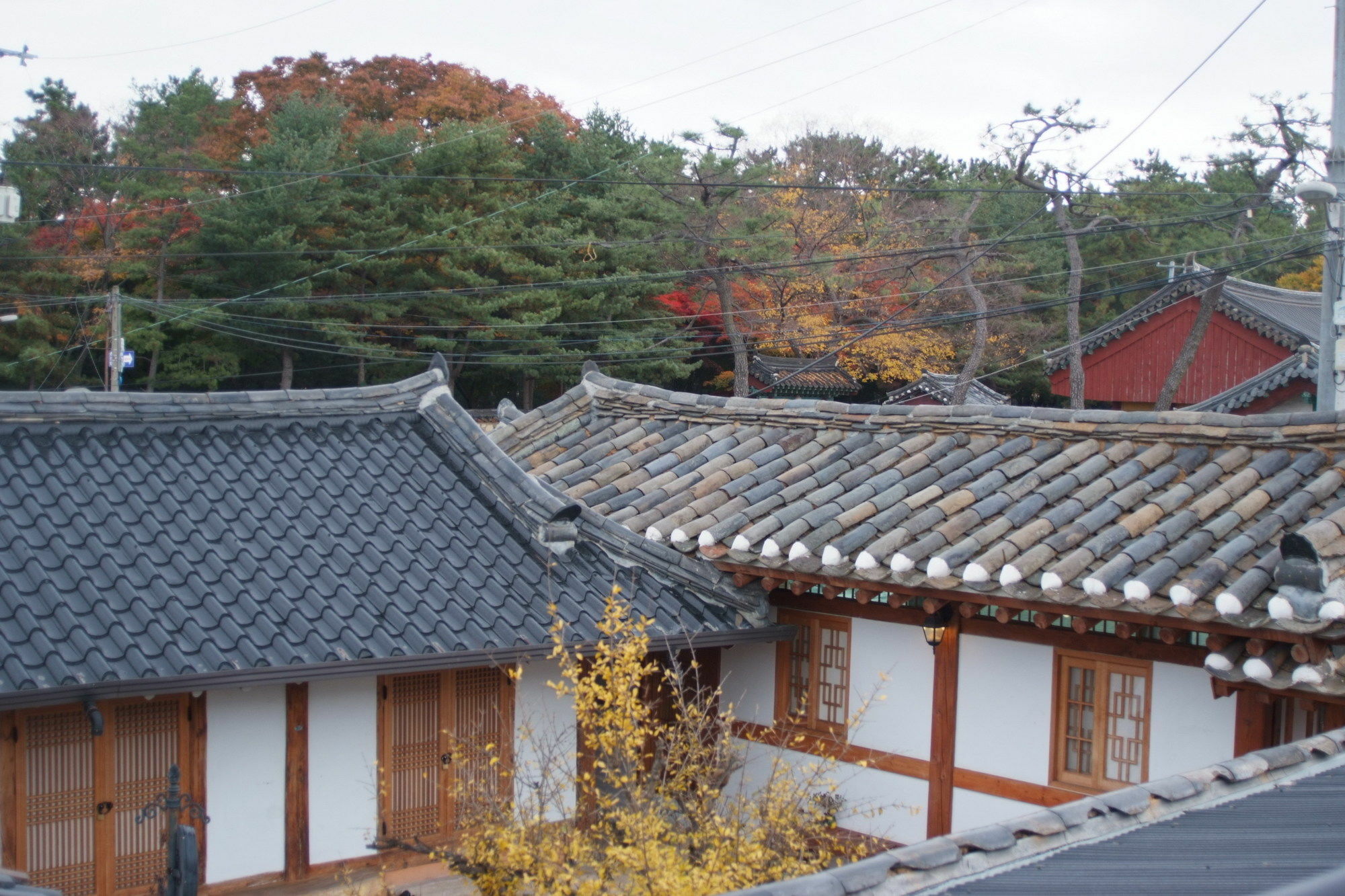 Floral Space Hanok Guesthouse Gyeongju Ngoại thất bức ảnh